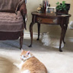 Meet your Posher, Nancy